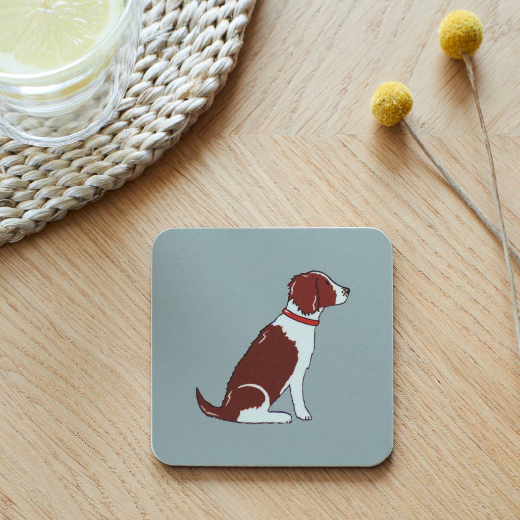 Coaster - Springer Spaniel (Liver & White)