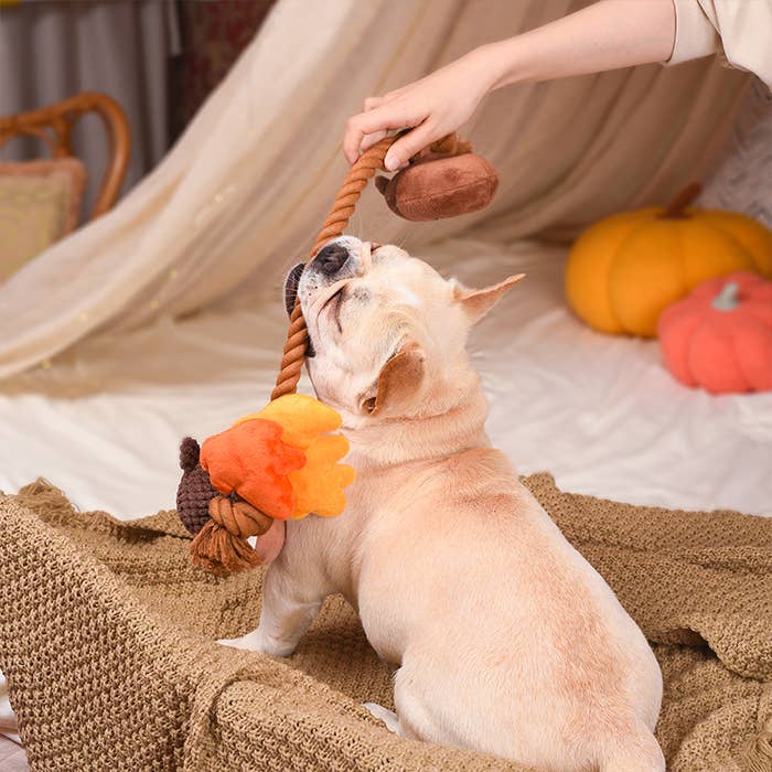 Autumn Acorn Rope Toy