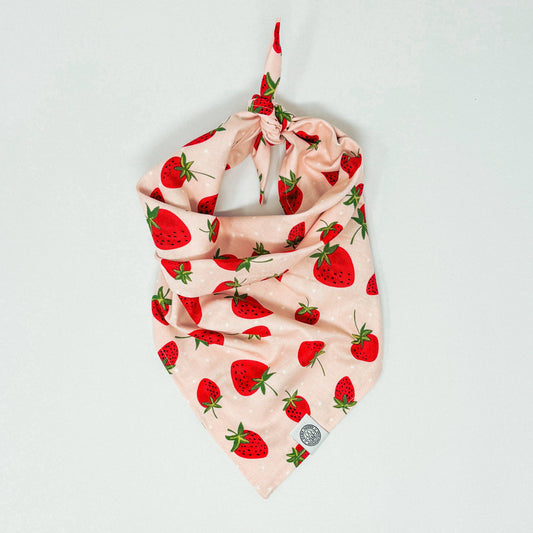 Strawberry Bandana