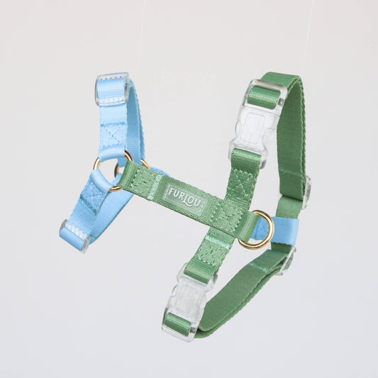Blue + Sage Green - Dog Harness
