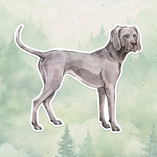 Weimaraner dog sticker