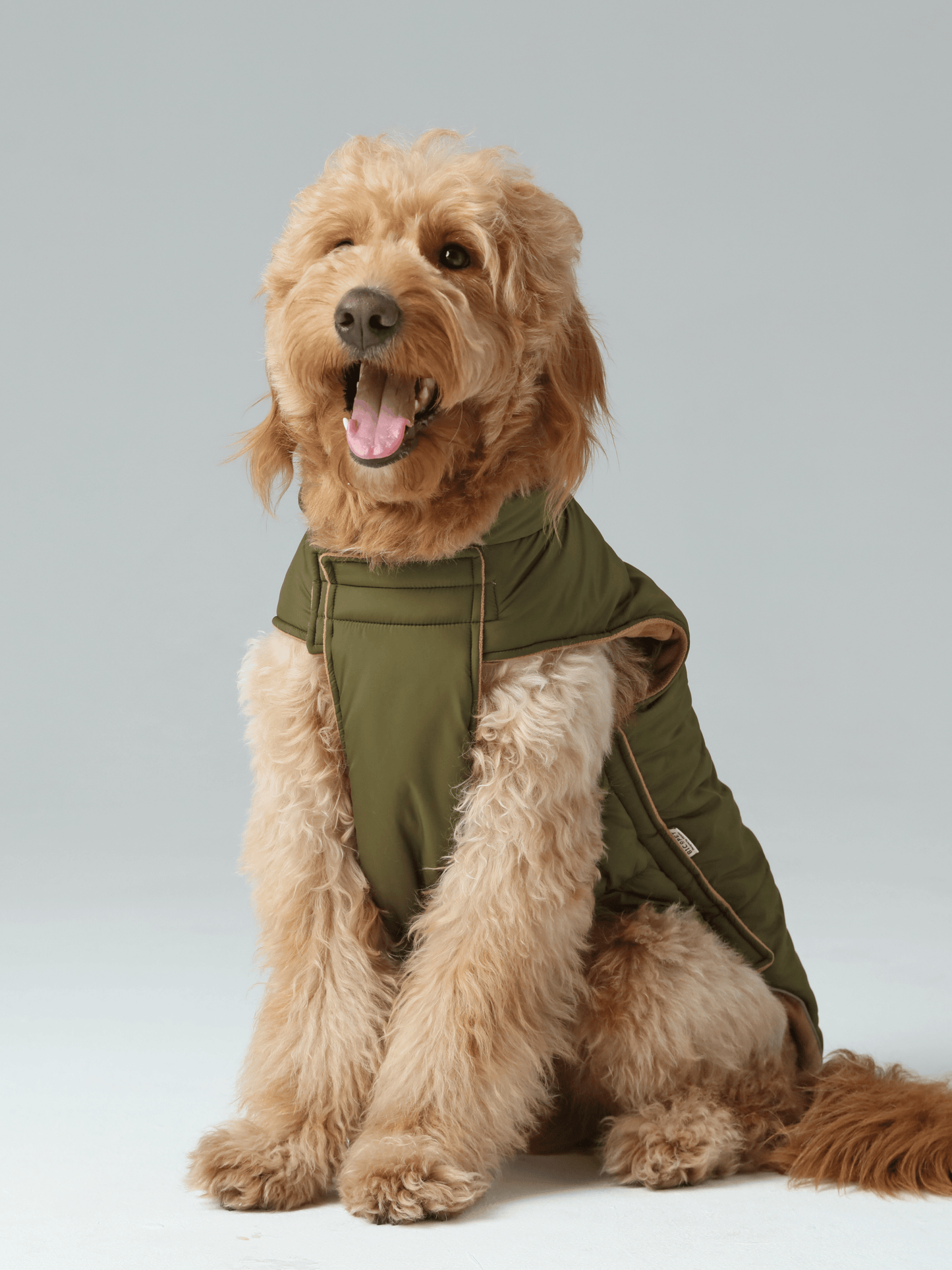 Reversible Dog Vest Green