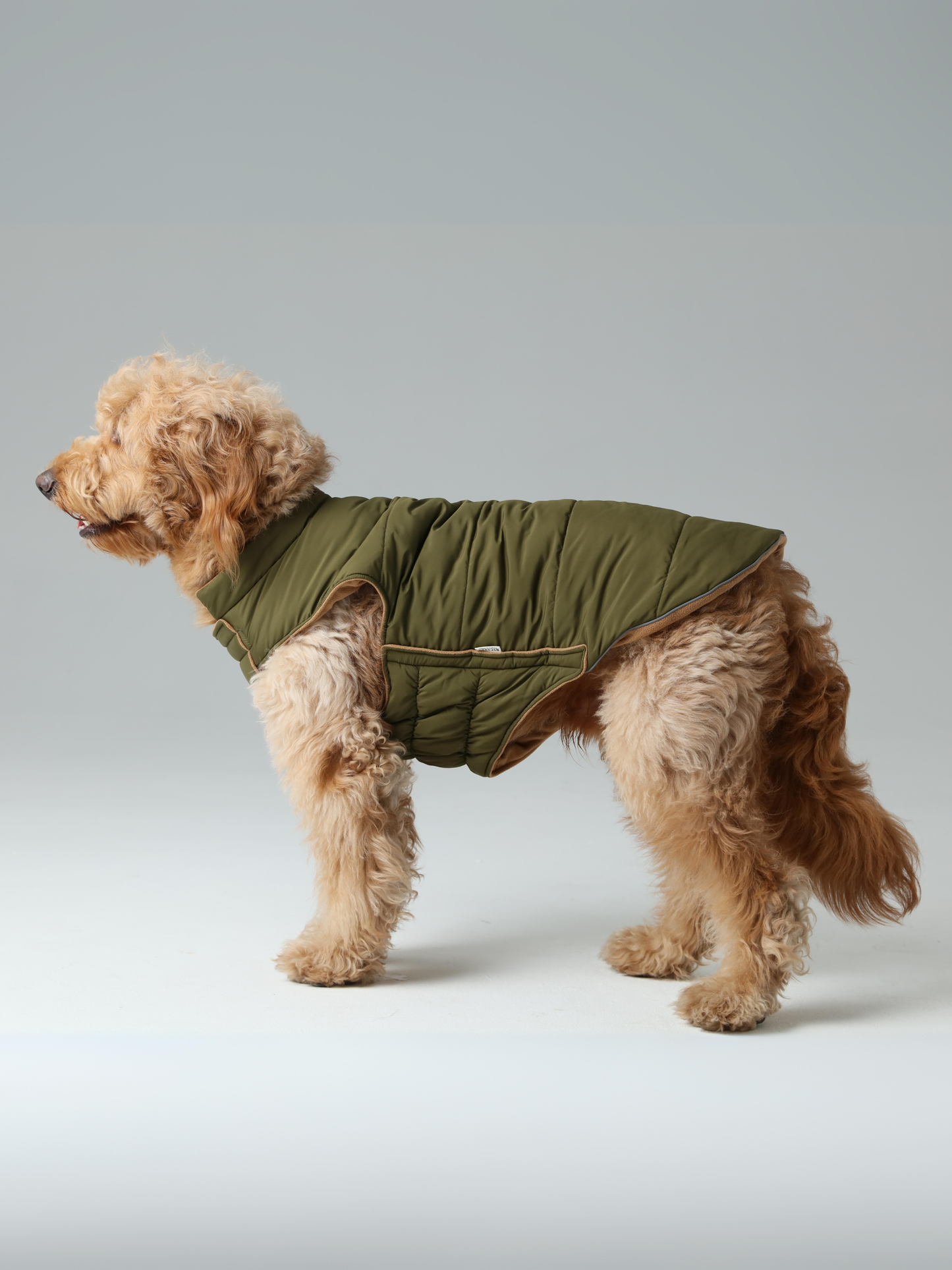 Reversible Dog Vest Green