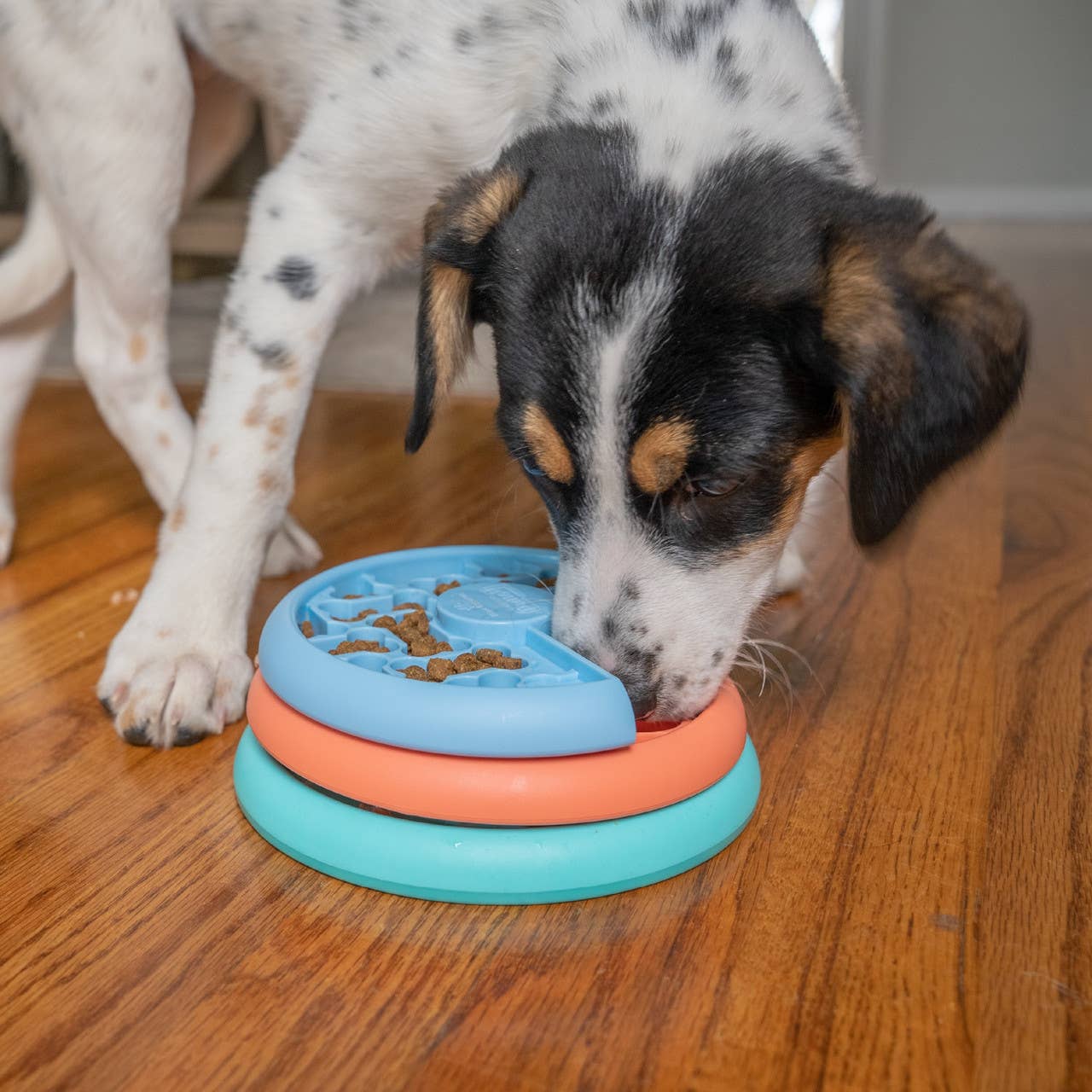 Puppy Enrichment Toy