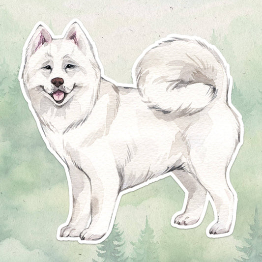 Samoyed dog sticker