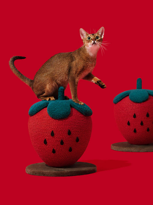 Strawberry Cat Scratcher