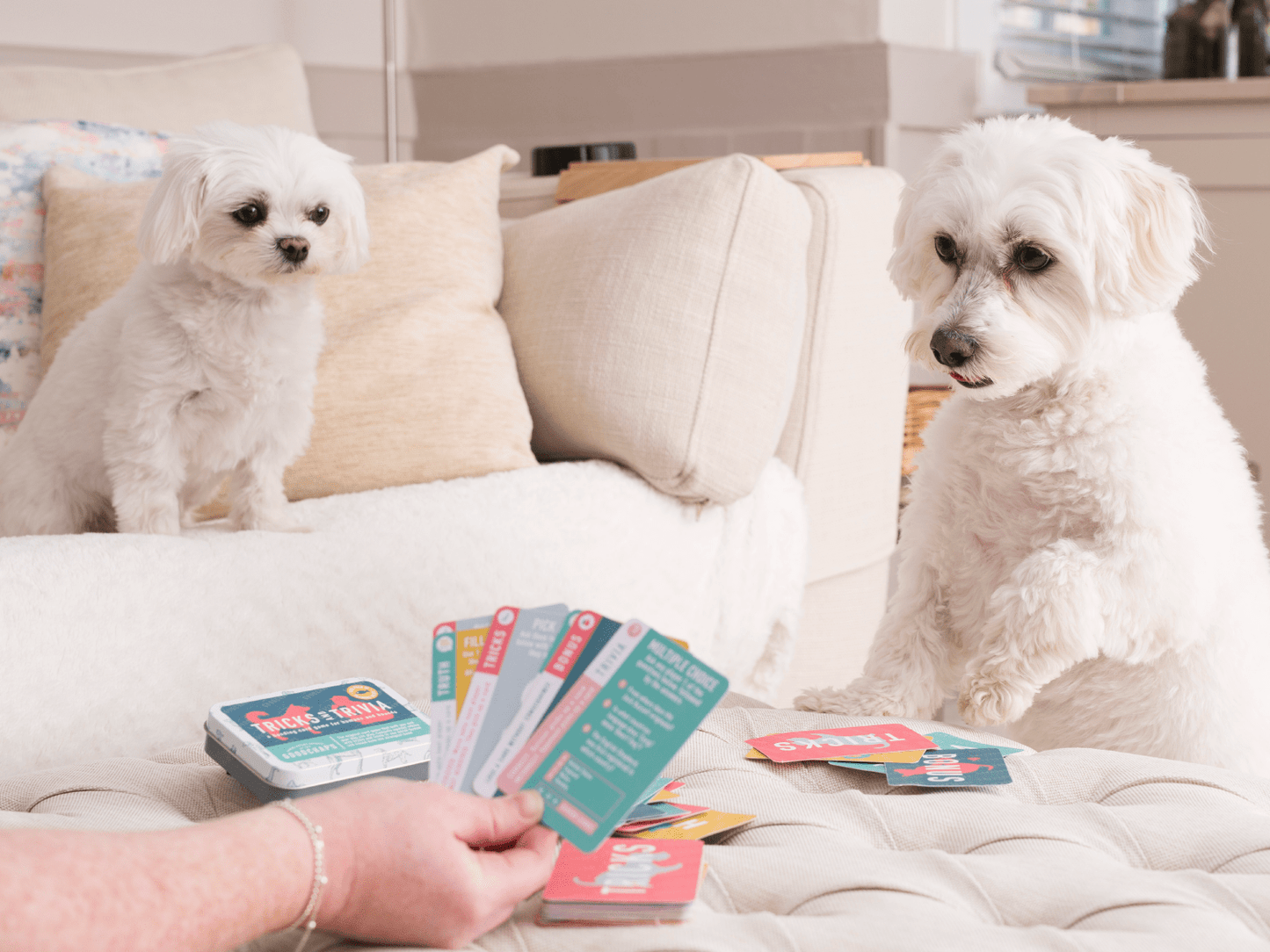 Tricks & Trivia Dog Card Game