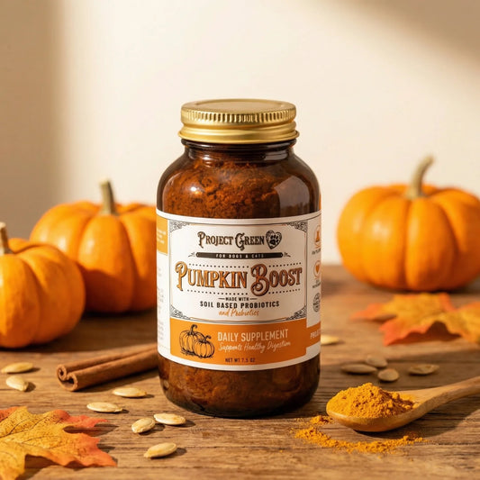 Project Sudz Pumpkin Boost