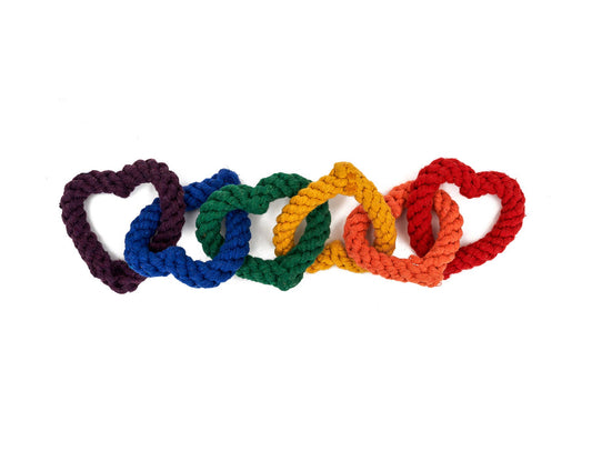 Jax & Bones 6 Chain Rope Dog Toy Rainbow 18"