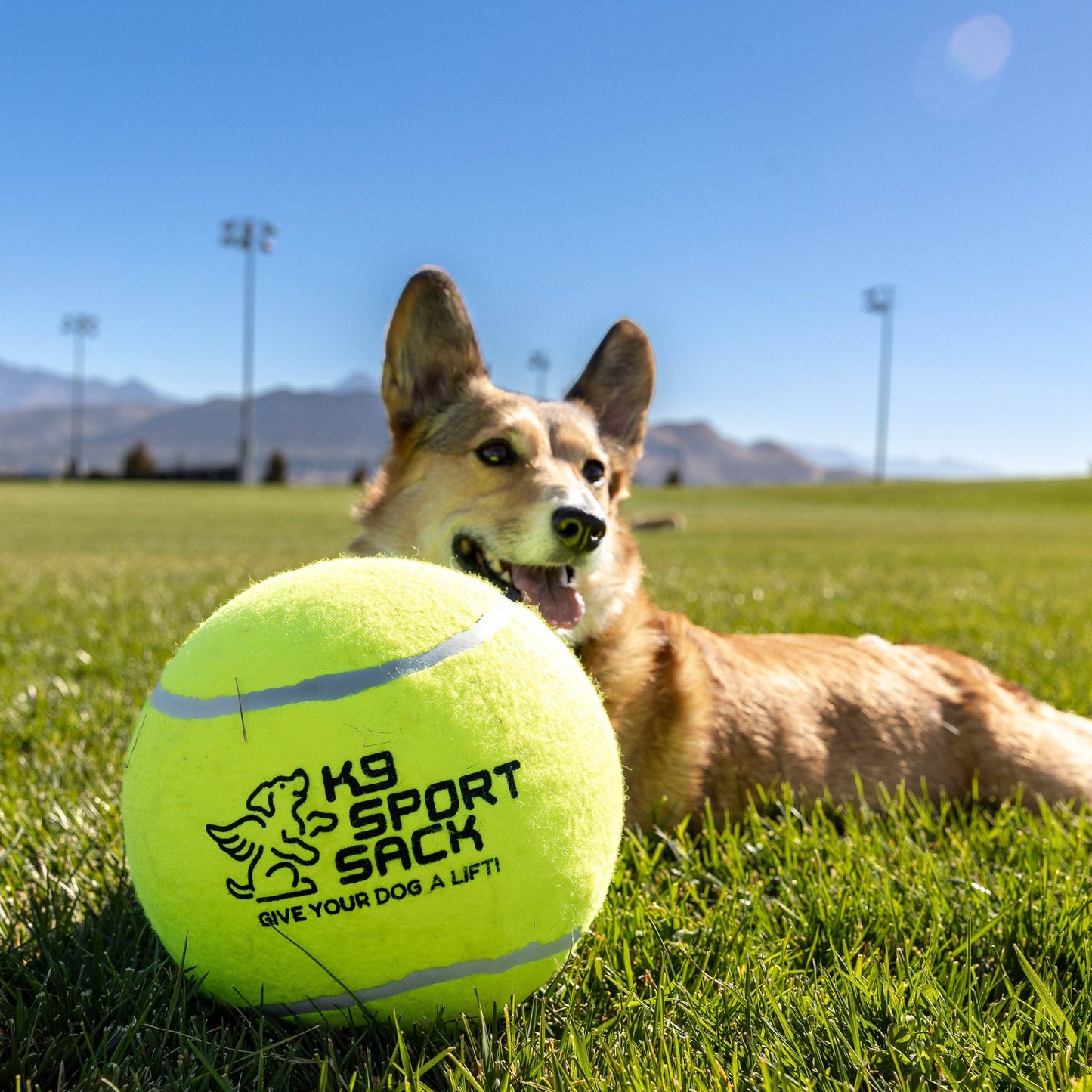 Giant Tennis Ball