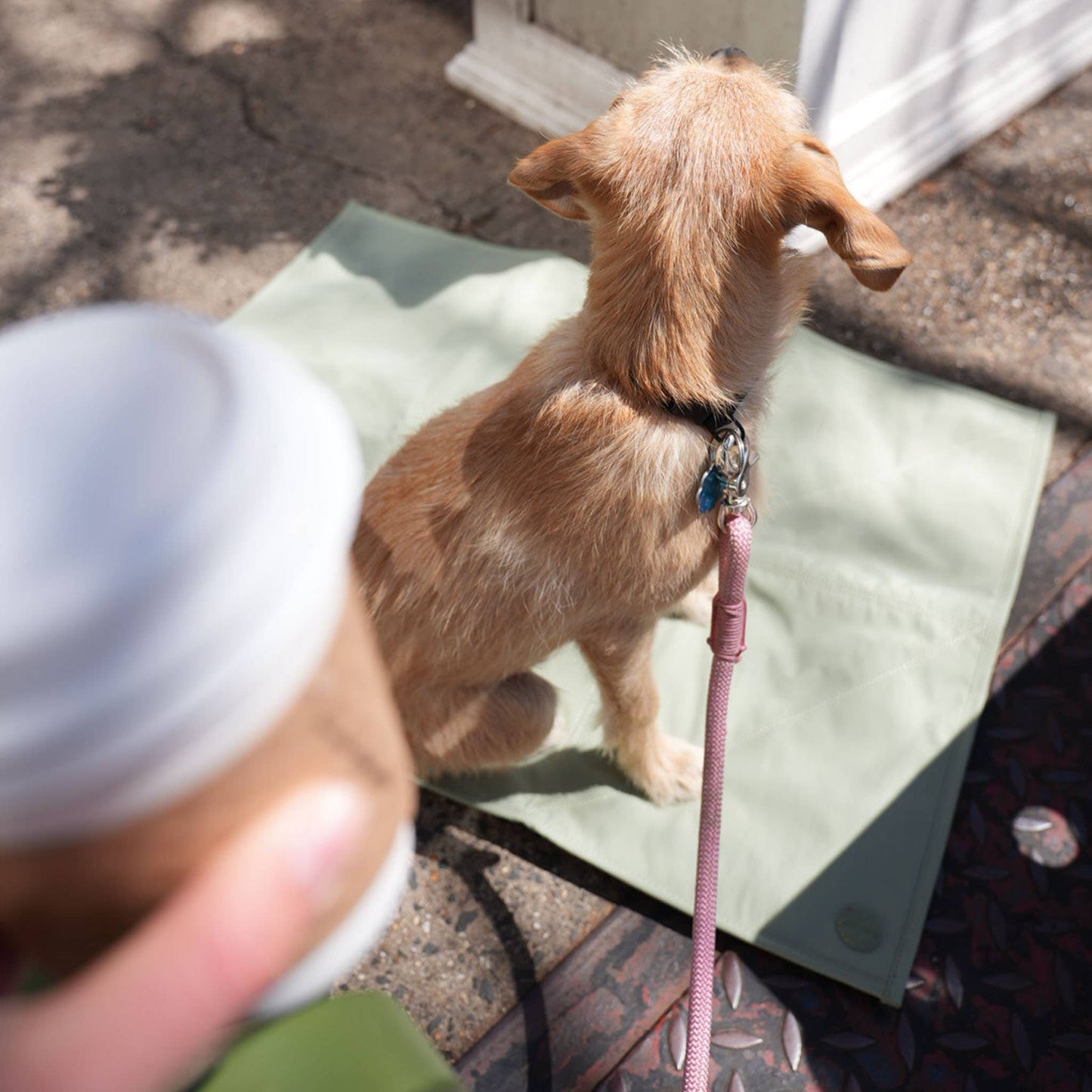 Jouir Pet Travel Mat | Non-slip, Light-weight, Foldable