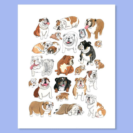 English Bulldog Print