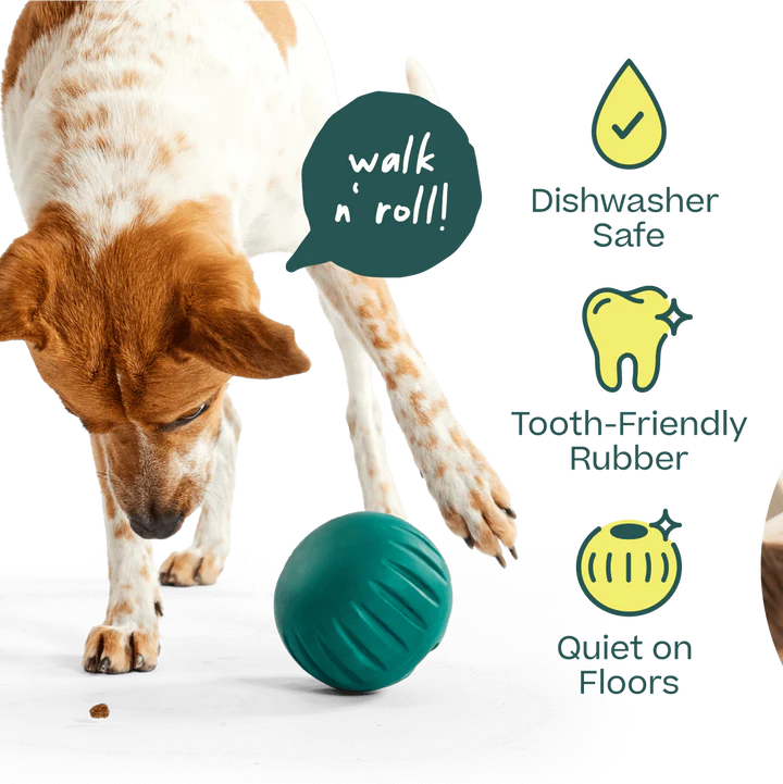 Woof Walkabout