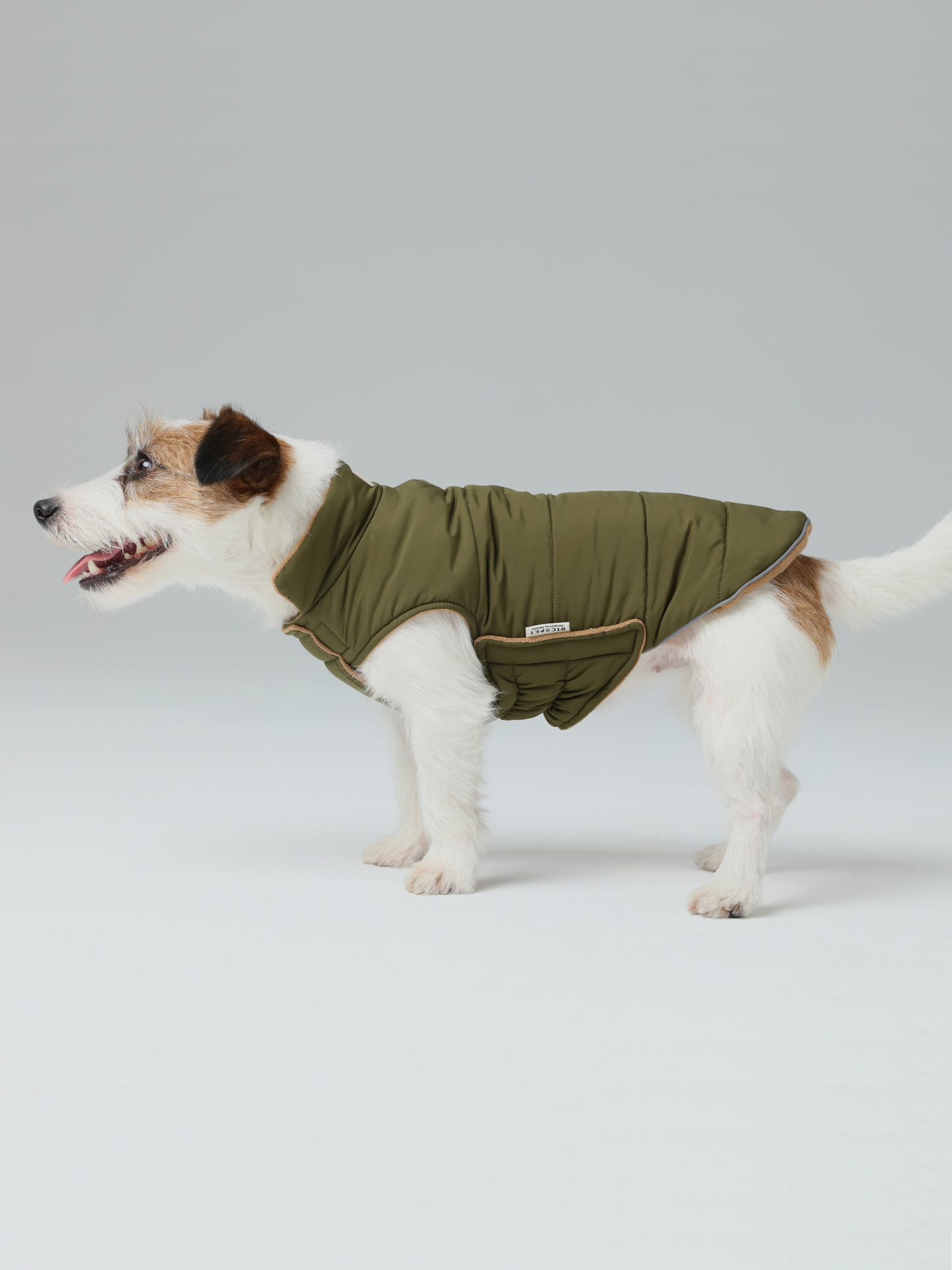 Reversible Dog Vest Green