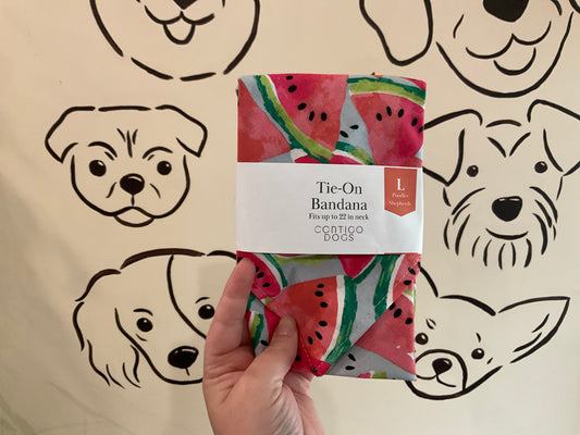 Watermelon Bandana