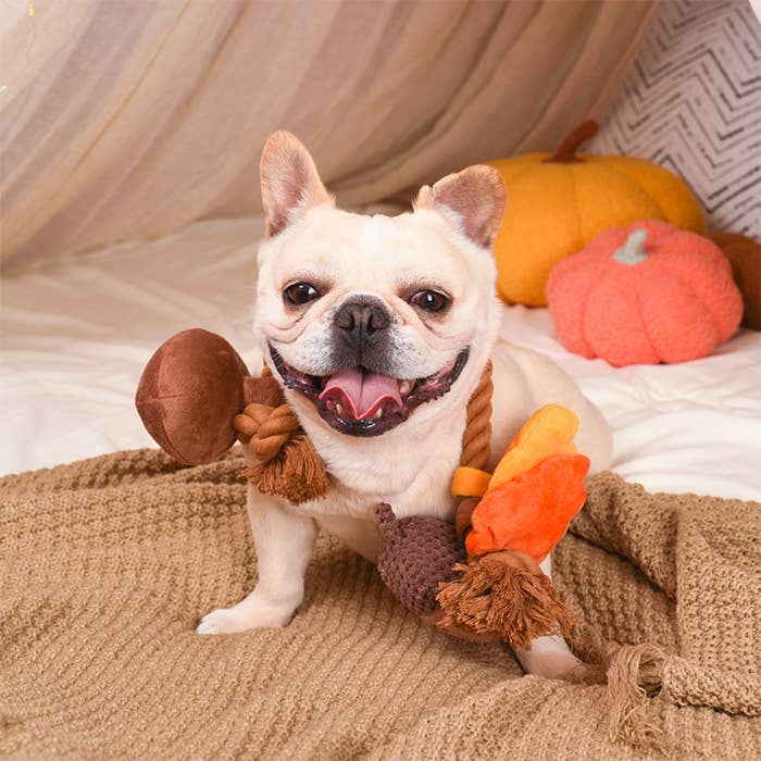 Autumn Acorn Rope Toy