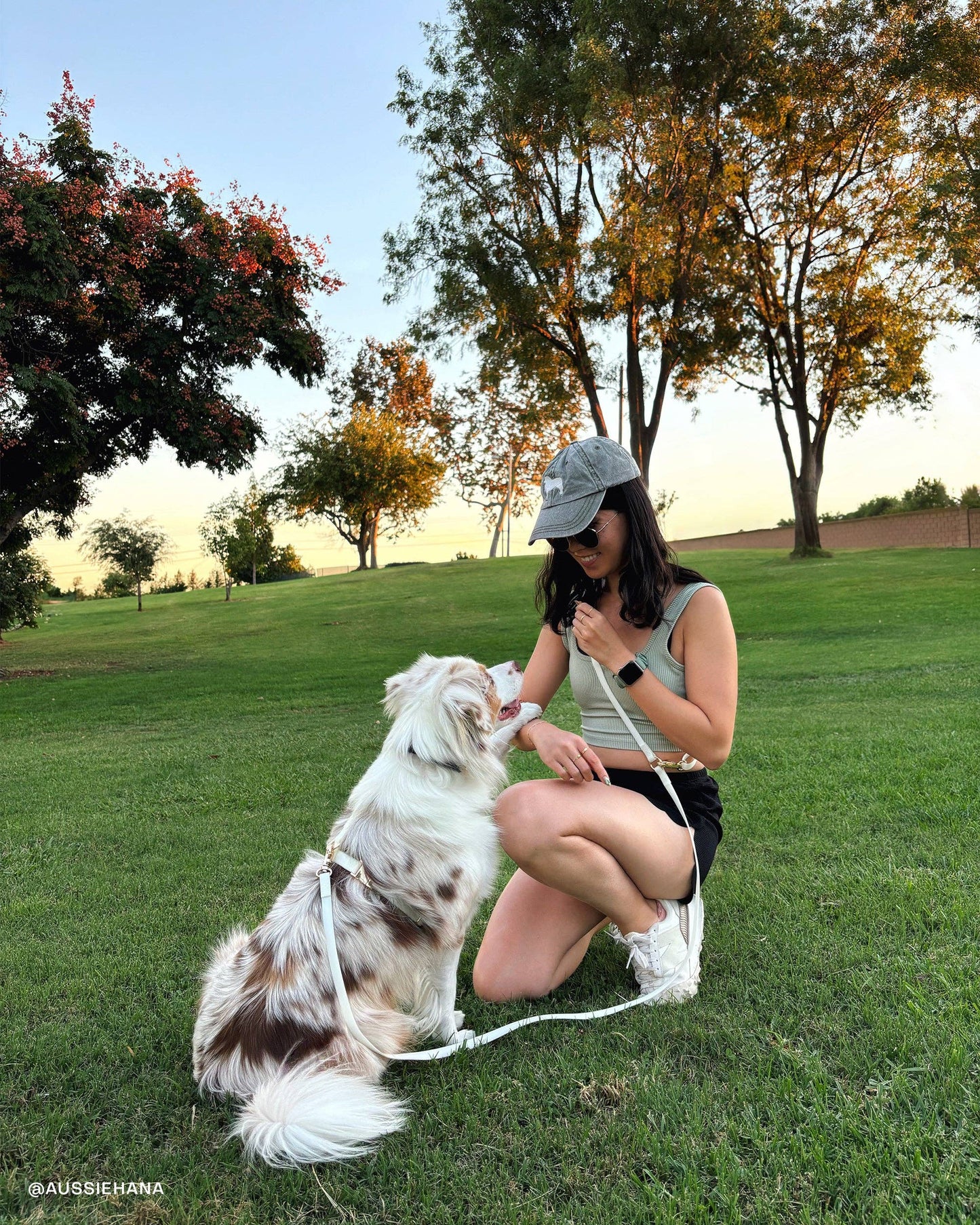 Lunar Glow Cloud Lite Dog Harness
