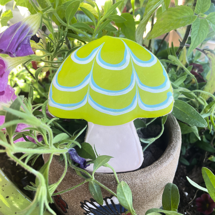Fall Mushroom