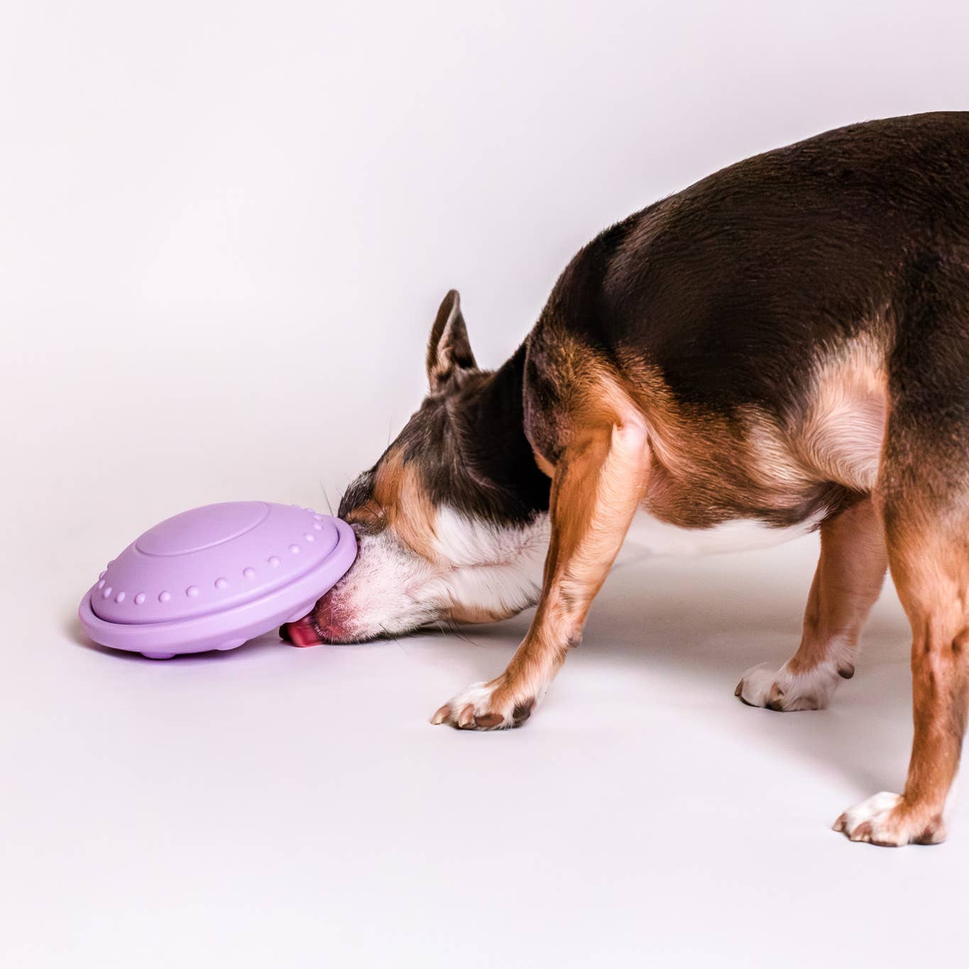 Flying Saucer Silicone Puzzle Toy
