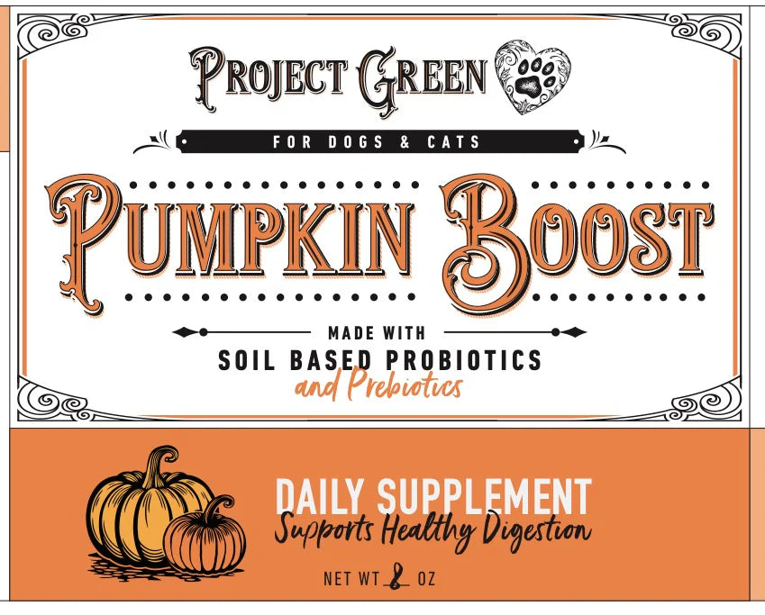 Project Sudz Pumpkin Boost