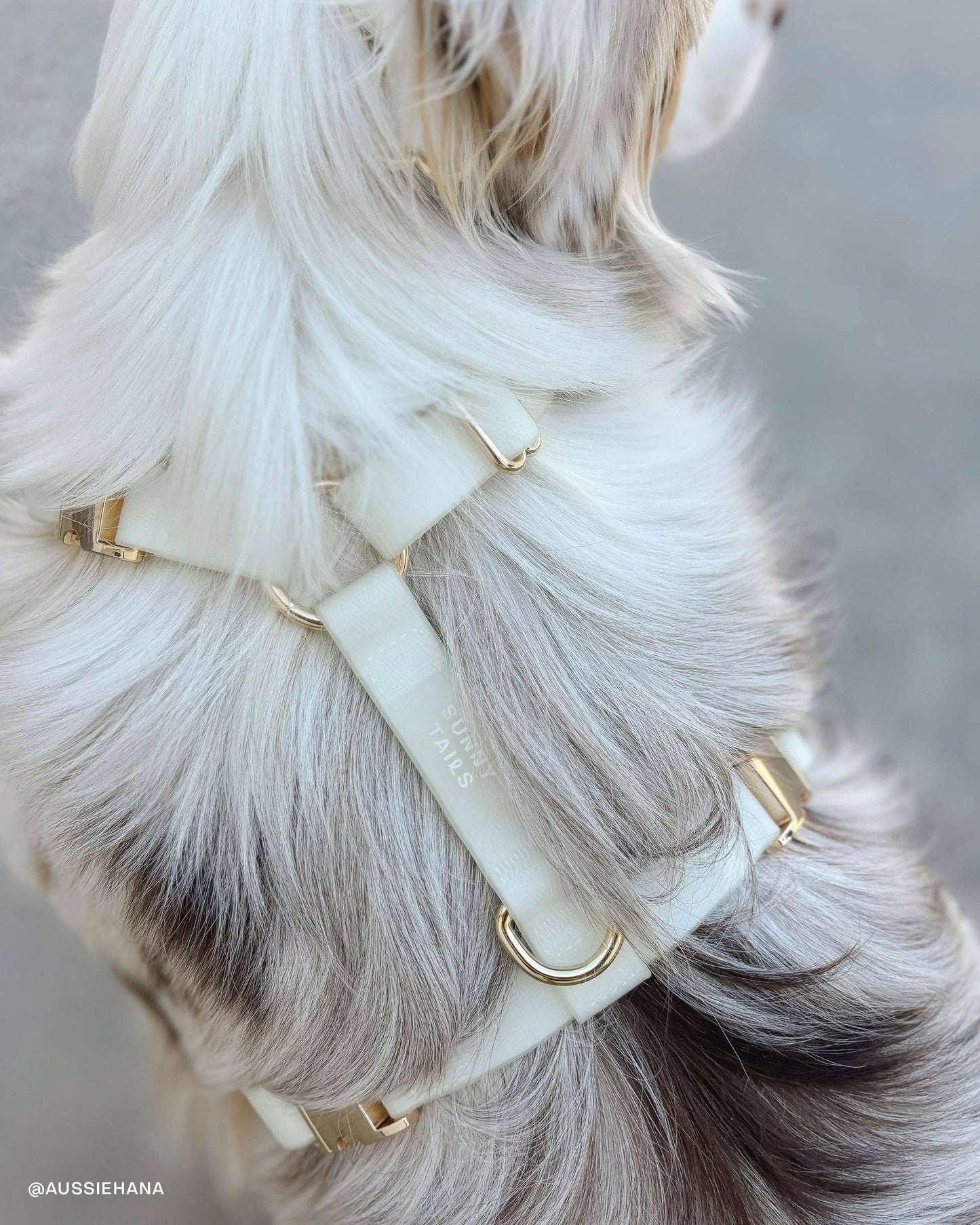Lunar Glow Waterproof Dog Collar