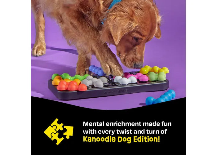 Kanoodle Puzzle Toy