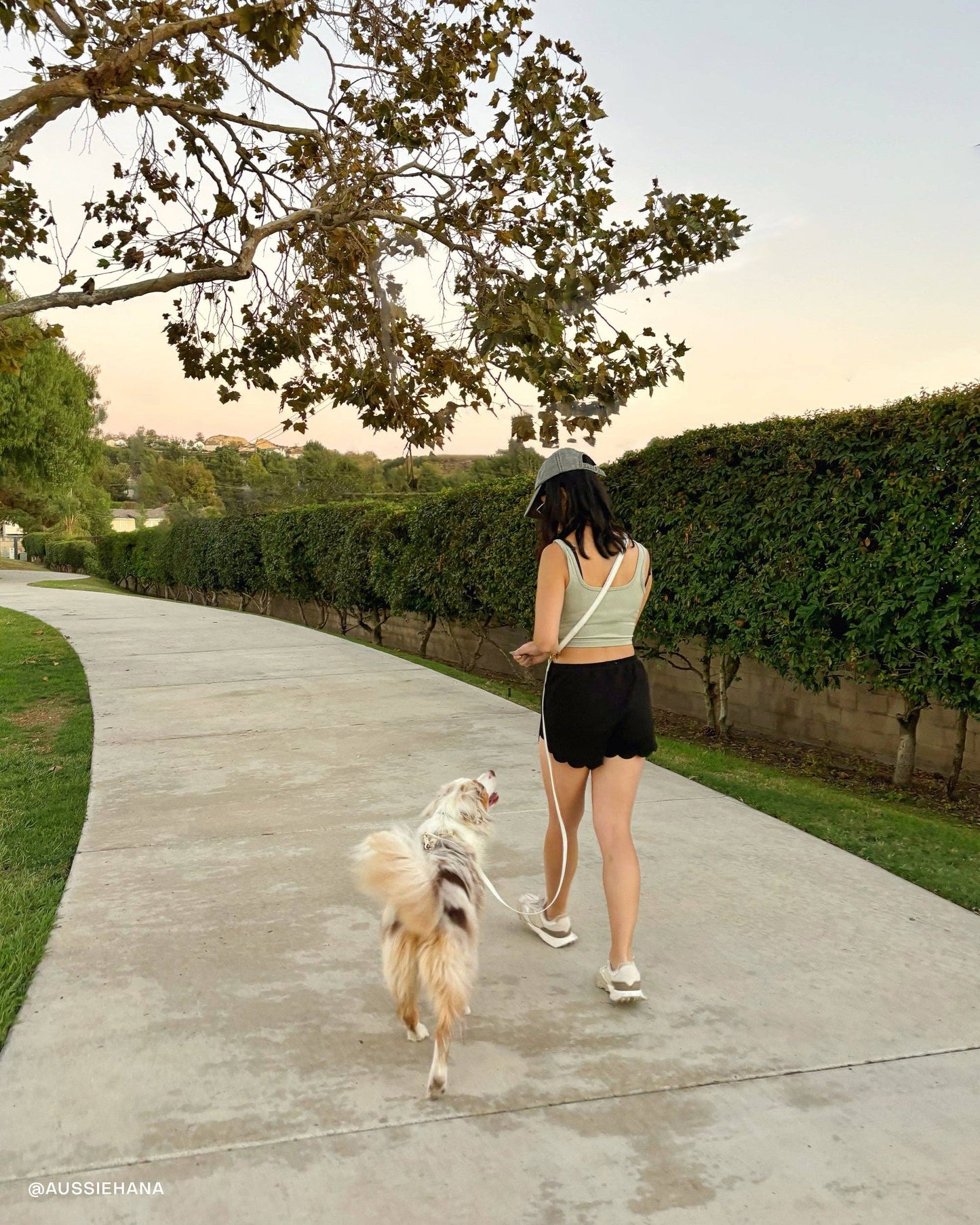 Lunar Glow Wide 4-in-1 Convertible Hands Free Cloud Dog Leash