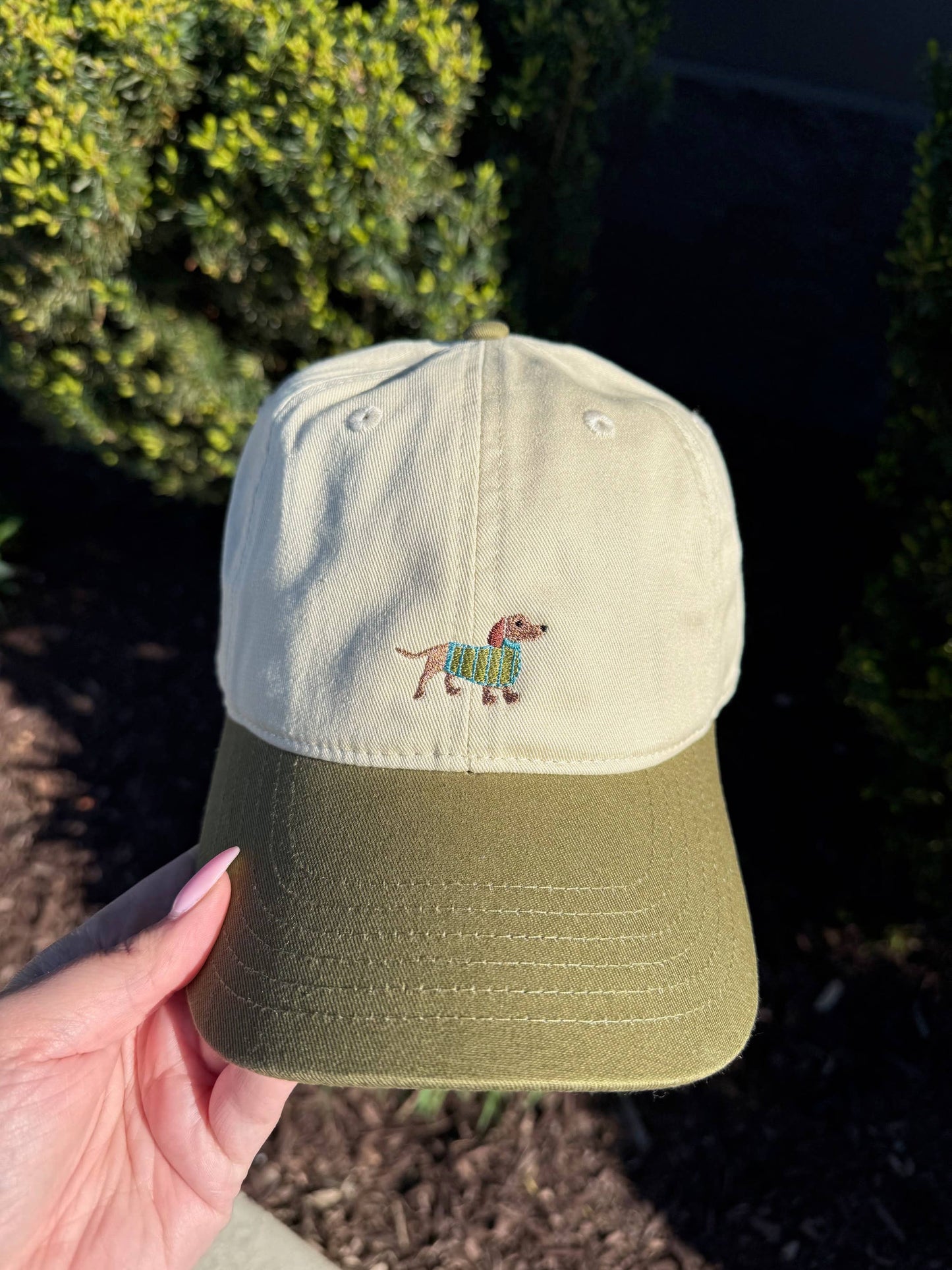 Embroidered Dog Hat