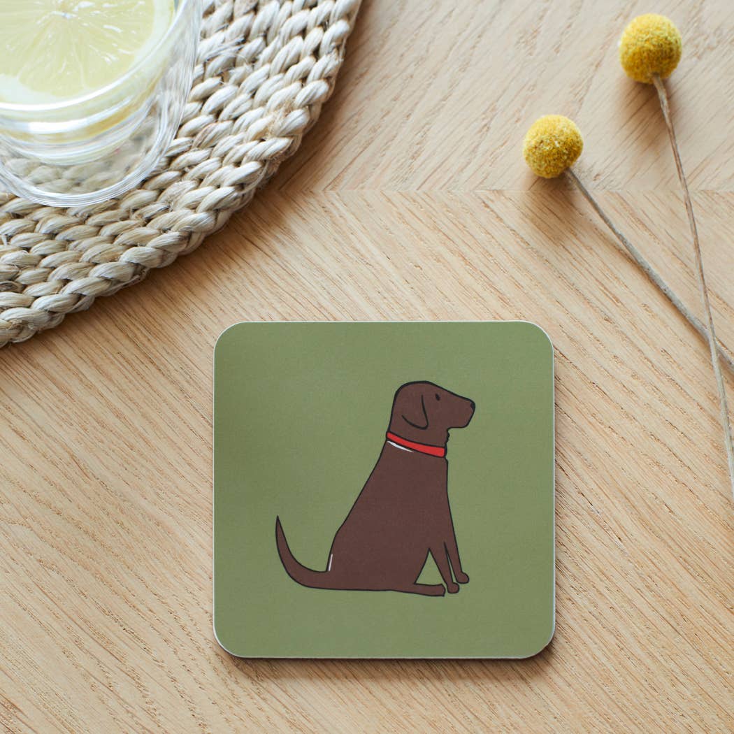 Coaster - Chocolate Labrador