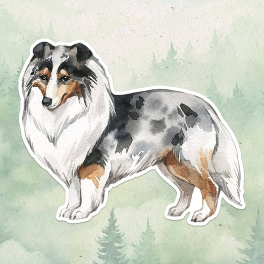 Sheltie sticker