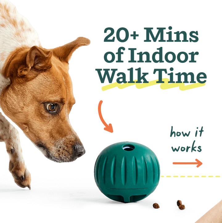 Woof Walkabout