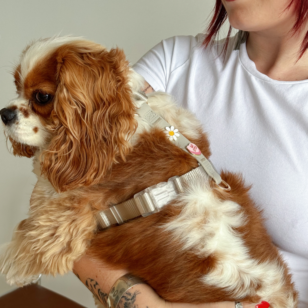 Moodies Harness