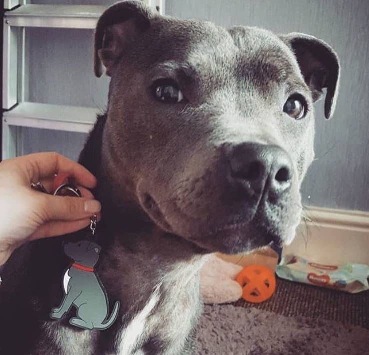 Staffie Key Ring