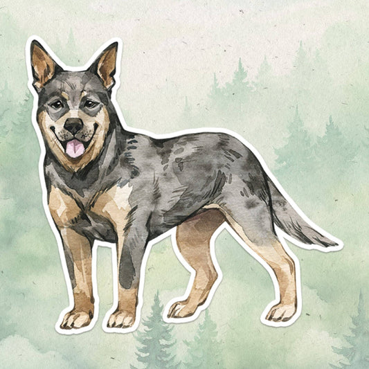 Aussie Cattle Dog Sticker