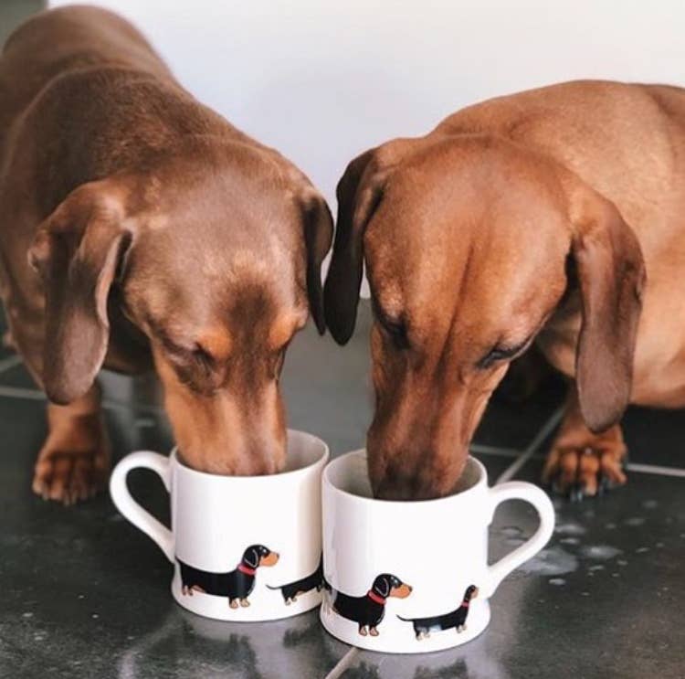 Dachshund Mug