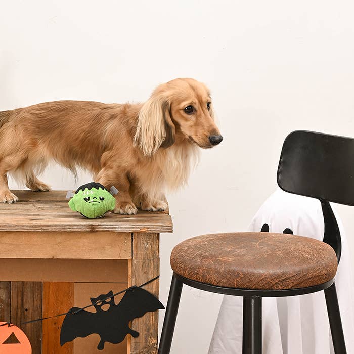 Frankenstein -Dog Ball Toy