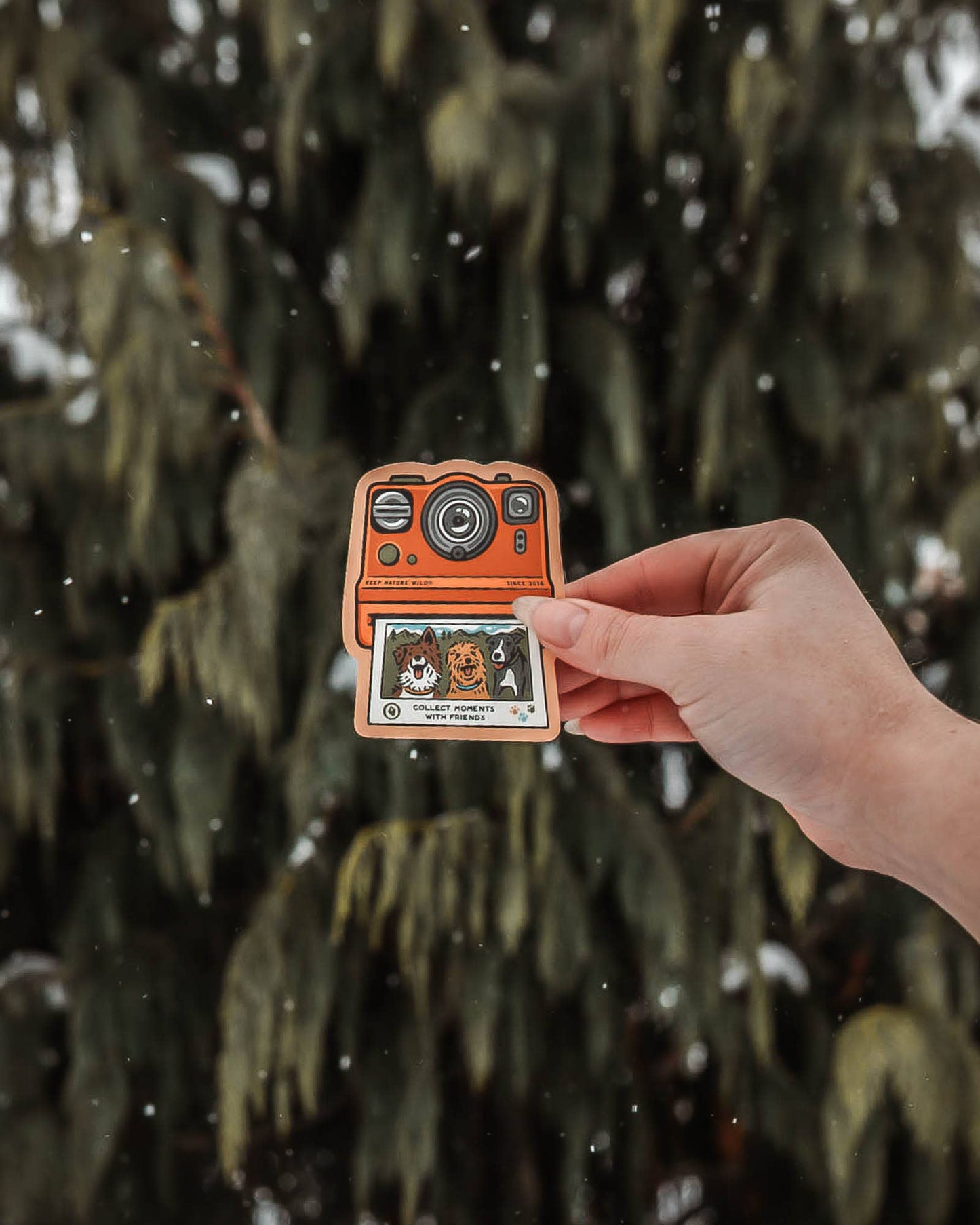 Collect Moments with Friends | Sticker