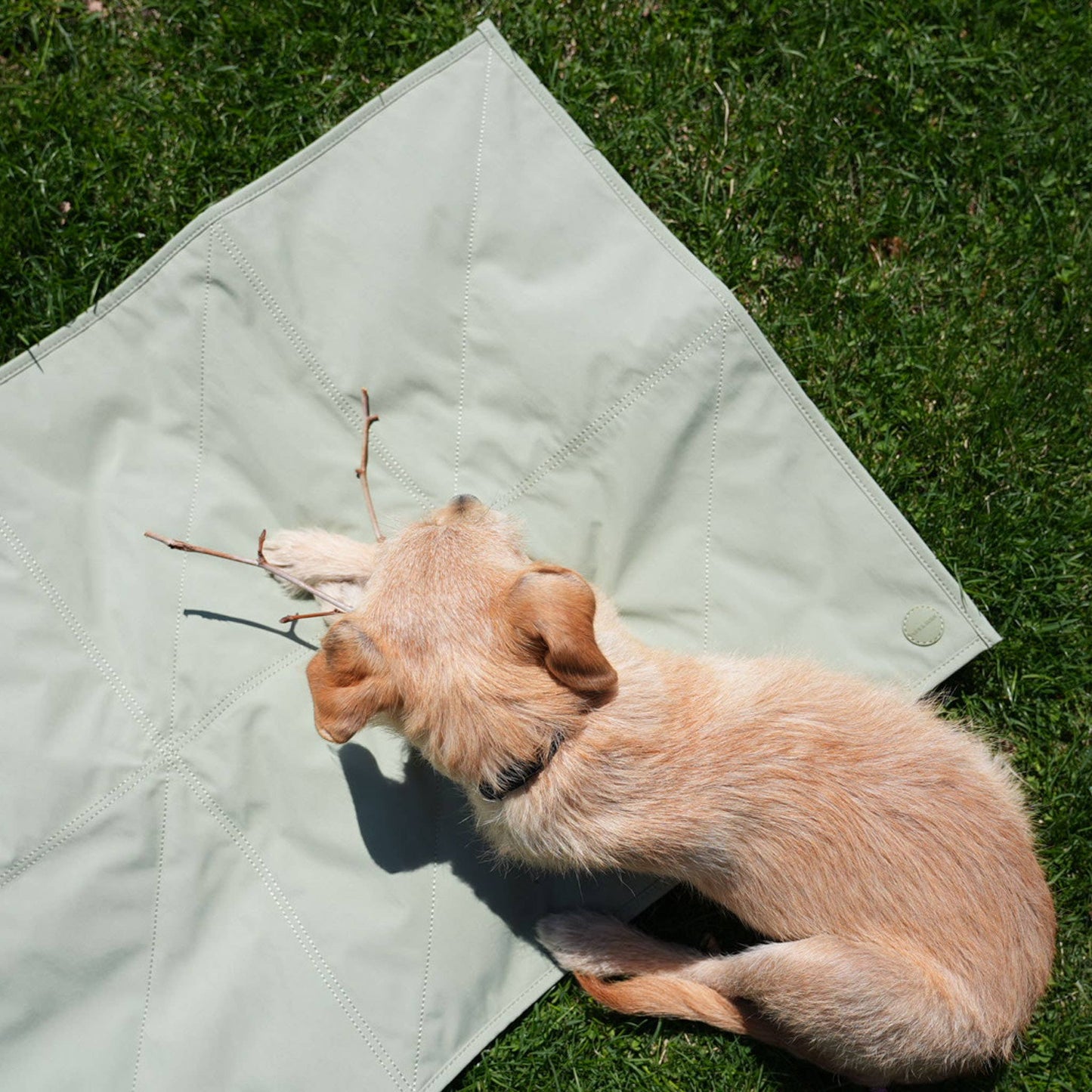 Jouir Pet Travel Mat | Non-slip, Light-weight, Foldable