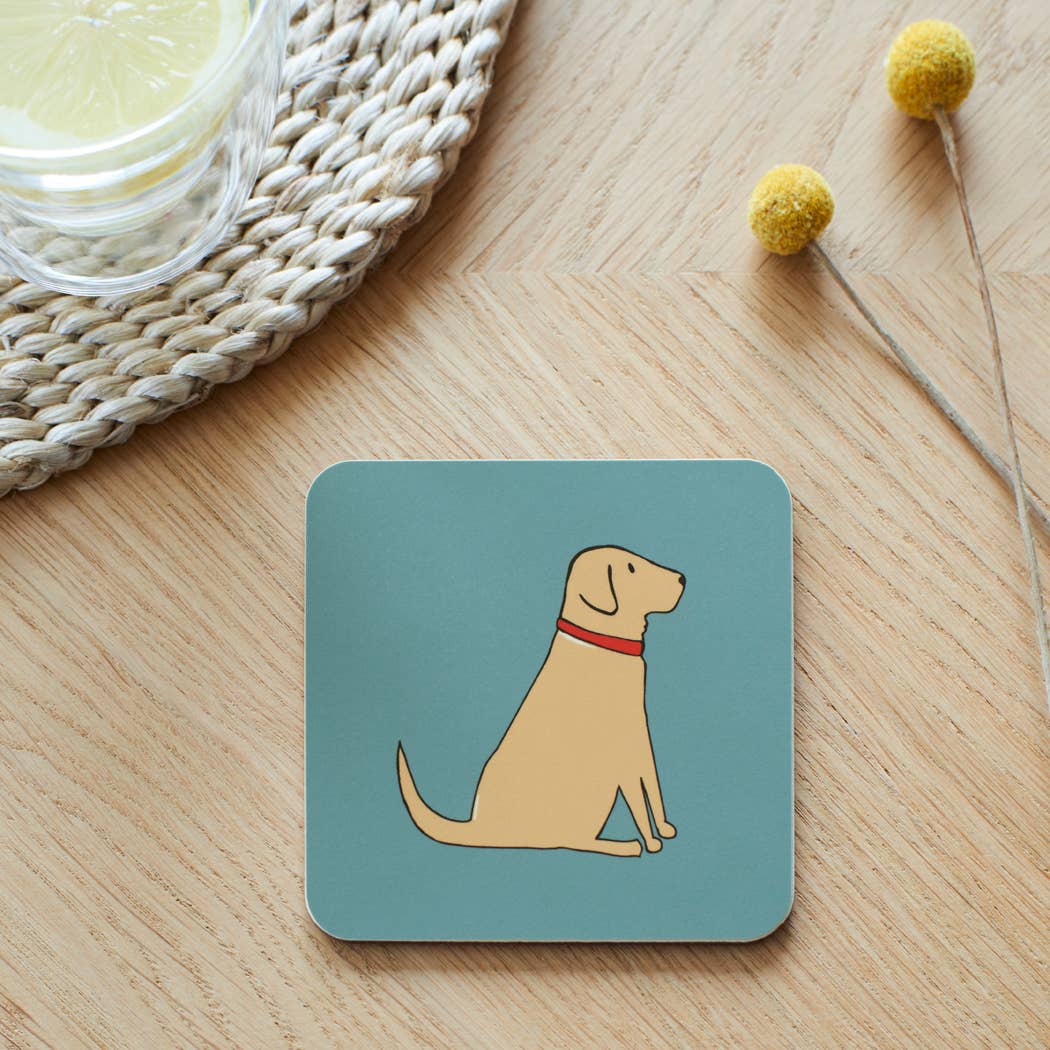 Coaster - Yellow Labrador