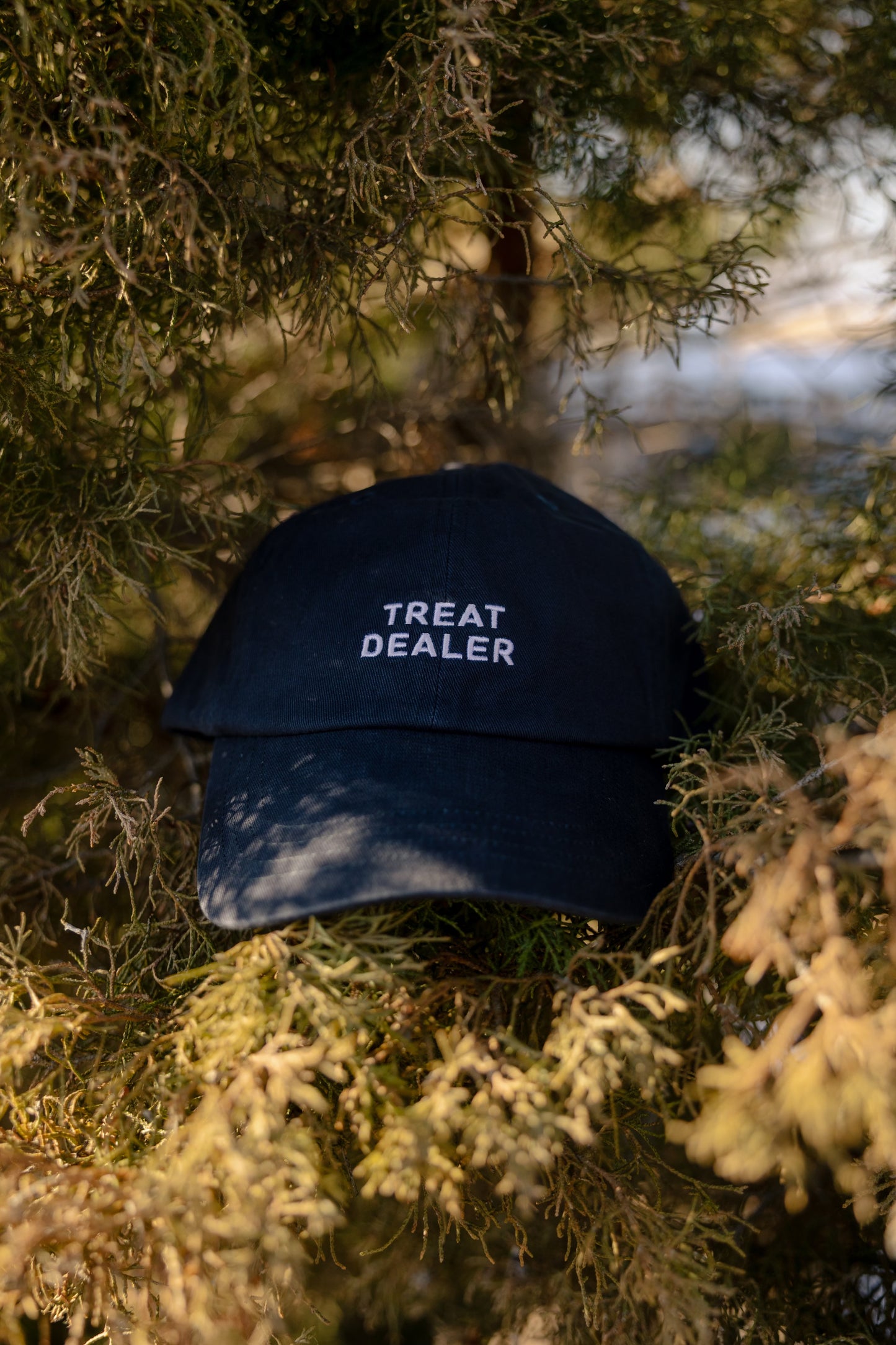 Treat Dealer Baseball Cap