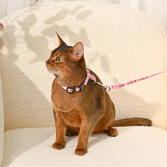 Cat Harness & Leash Set - Cherry