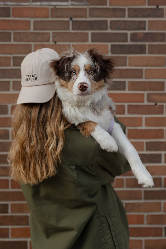 Treat Dealer Baseball Cap