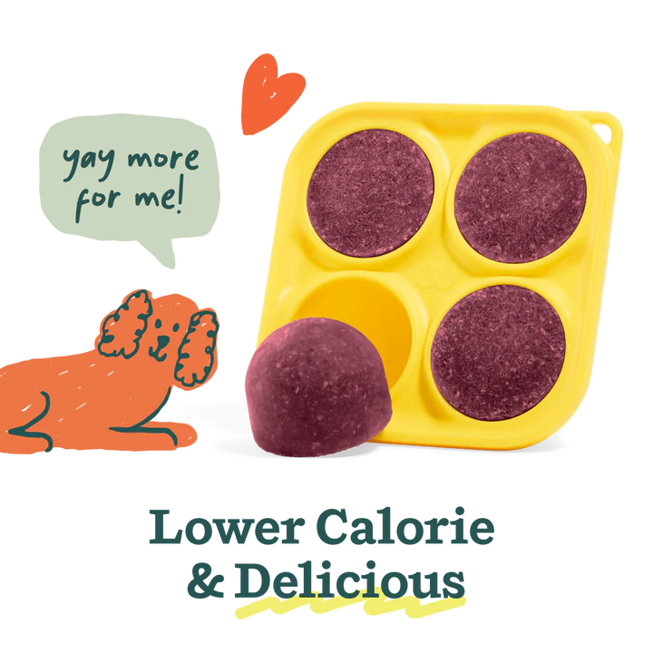Woof Pupsicle Berry Mix