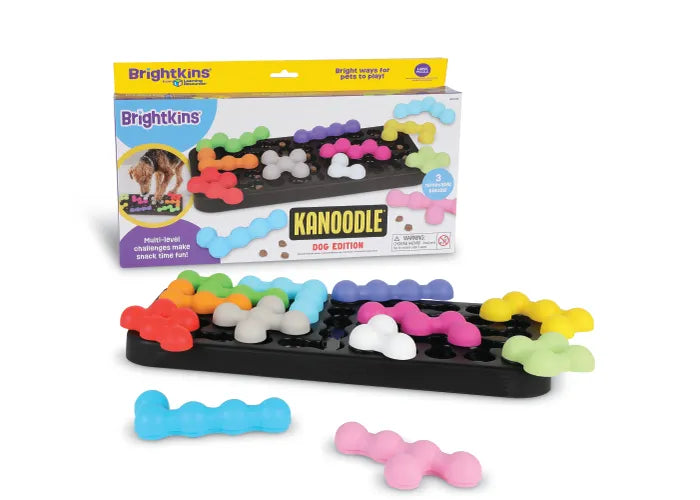Kanoodle Puzzle Toy
