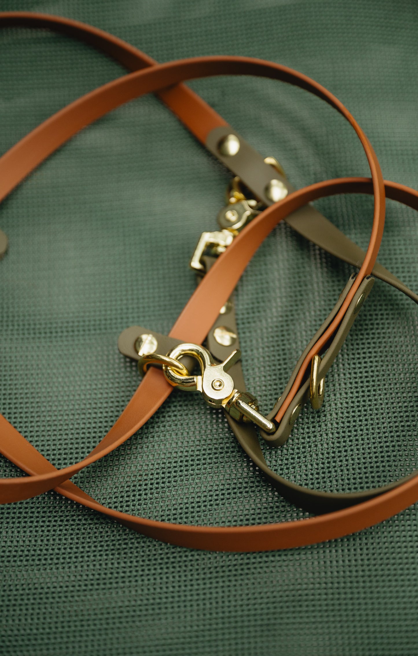 Handsfree Leash