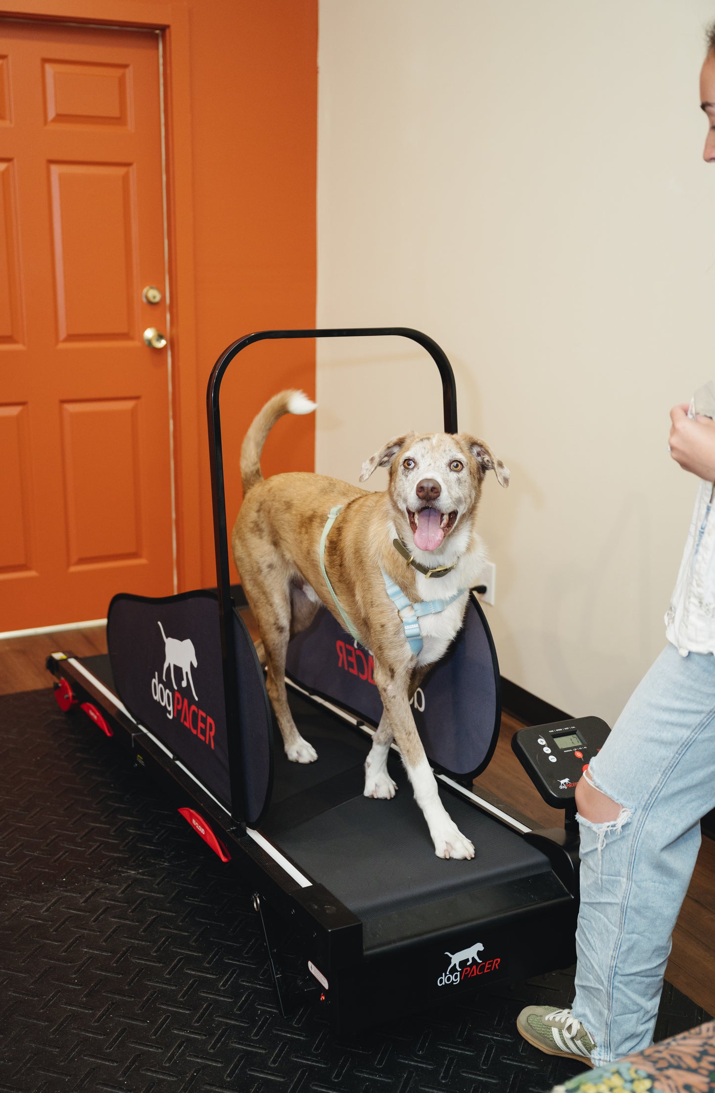 Treadmill Appointment
