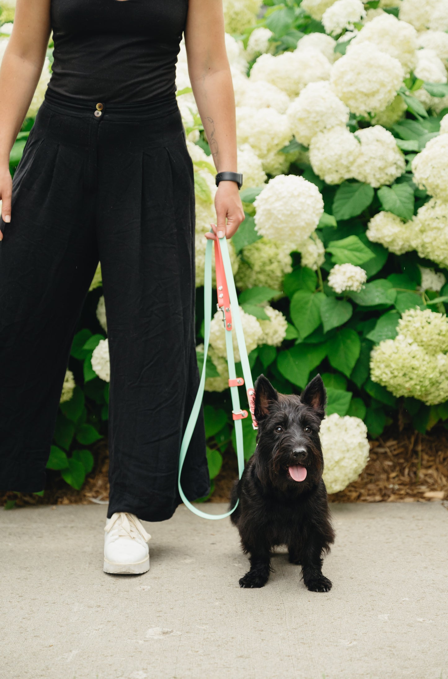 Handsfree Leash