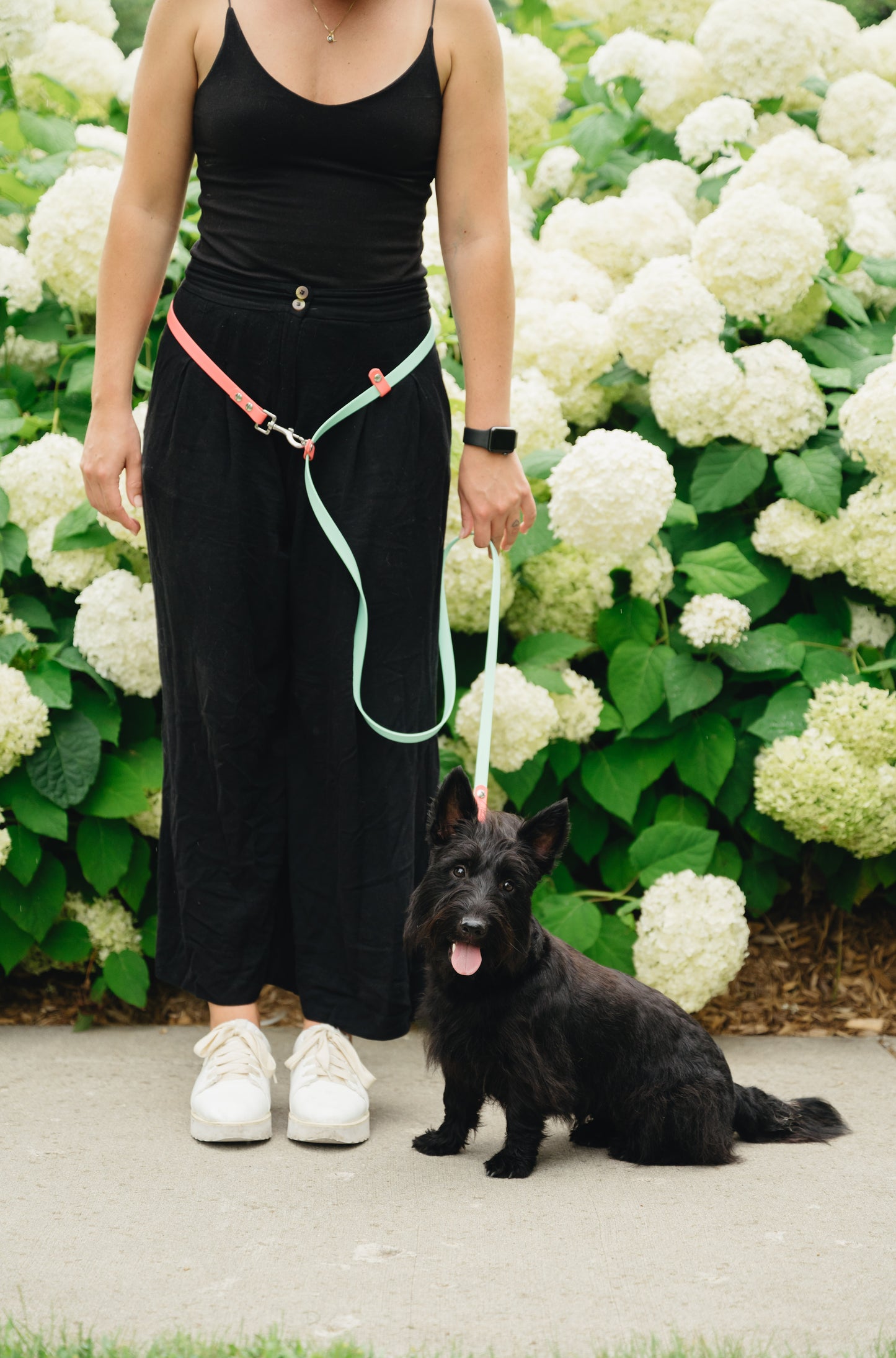 Handsfree Leash