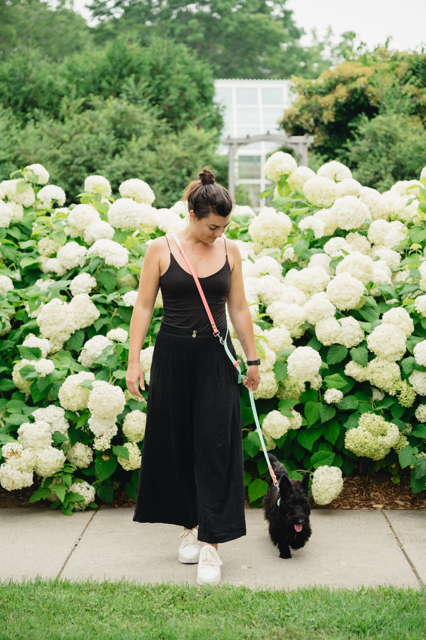 Handsfree Leash