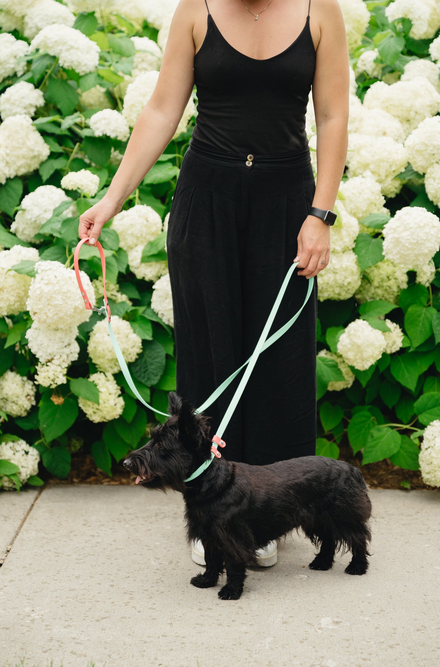 Handsfree Leash